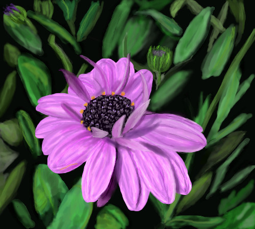 Zinna