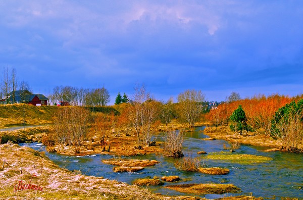 The spring colors !