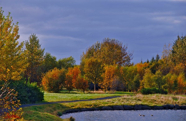  Autumn in Oliver´s garden !