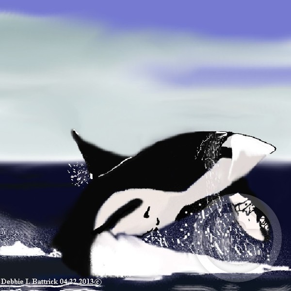 killer Whale