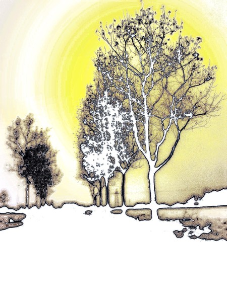 Viale del tramonto