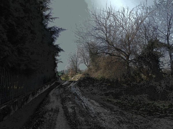 landscape of memory