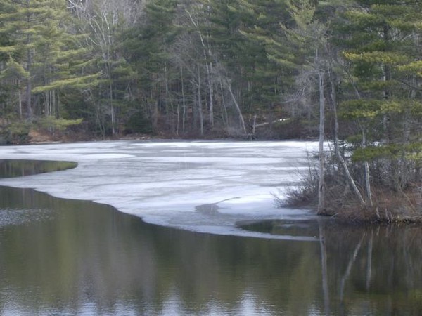 Spring Thaw