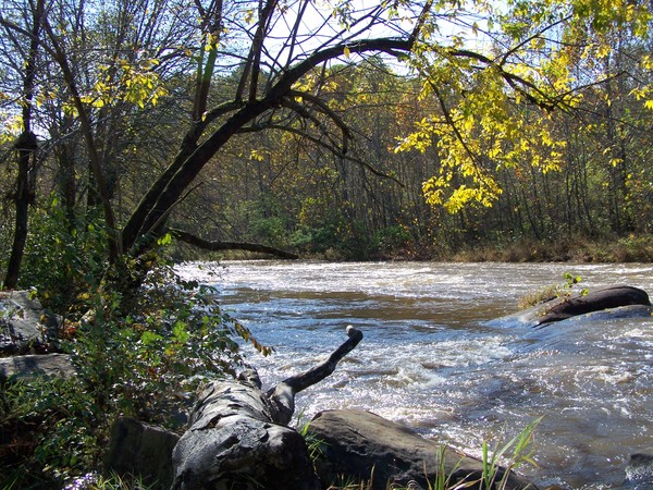 The Tye River