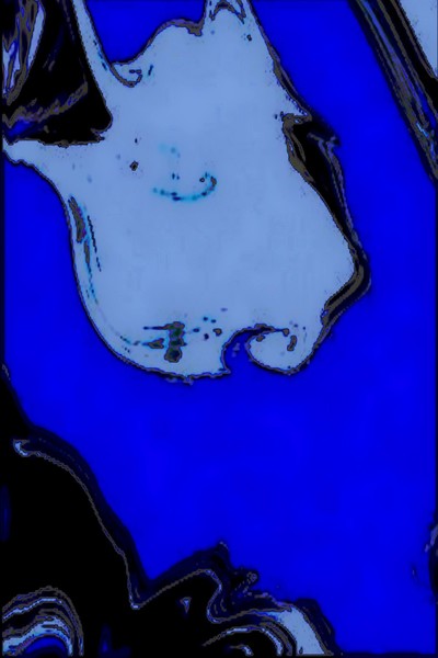 abstract fish