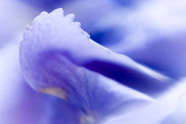 Out of the Blue