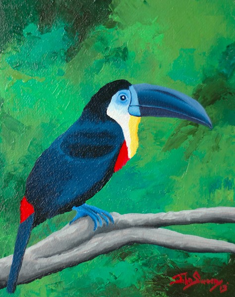 Forest-Toucan