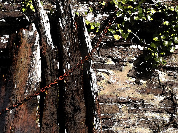 chain and ivy