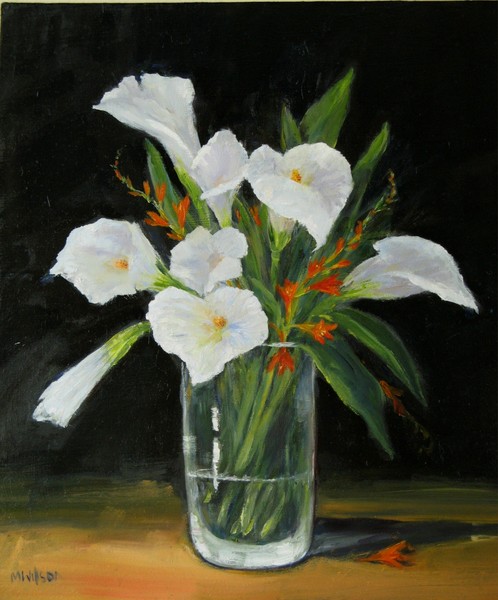 Cala Lillies