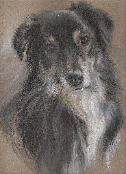Portrait of a Dog ( example custom commission )