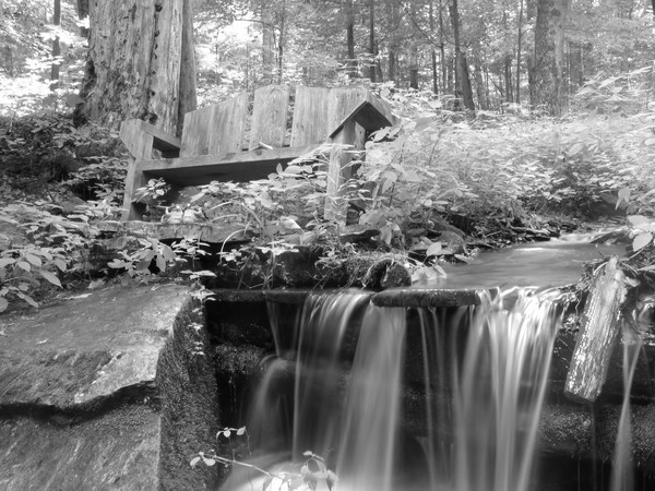 A River Runs By It