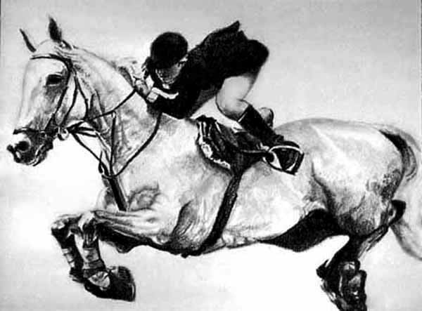 B-W Horse Jump