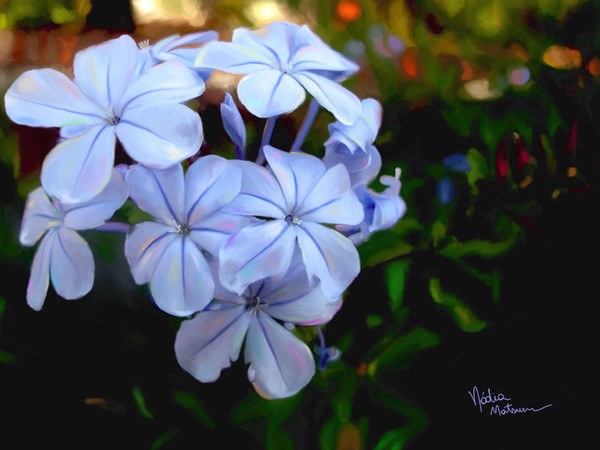blue flower