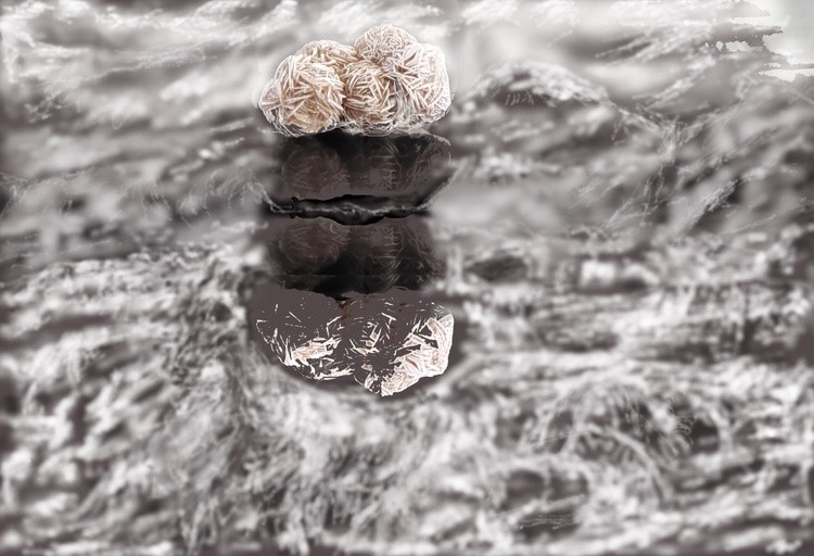Desert Egg