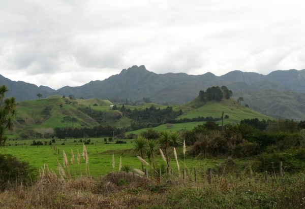 West of Whakatane