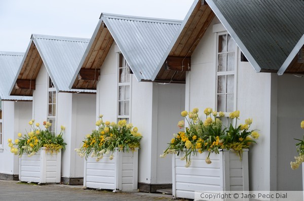 White Cabana's