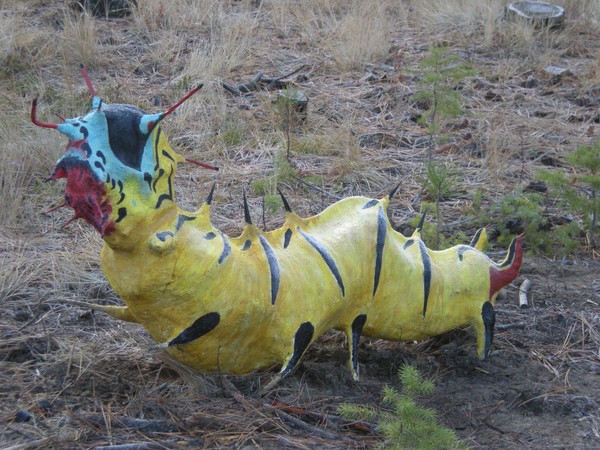 Hickory horned devil