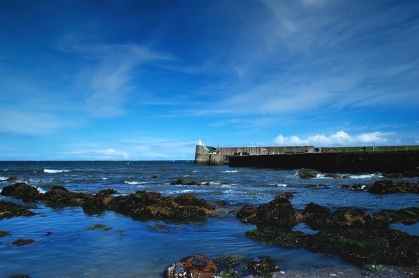 Burnmouth Harbour