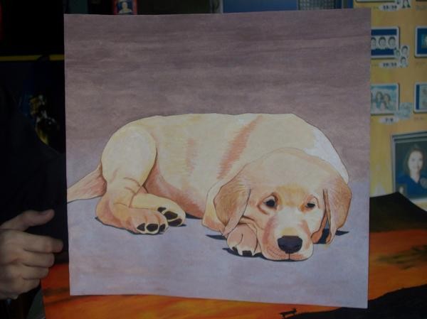 Lonely Pup