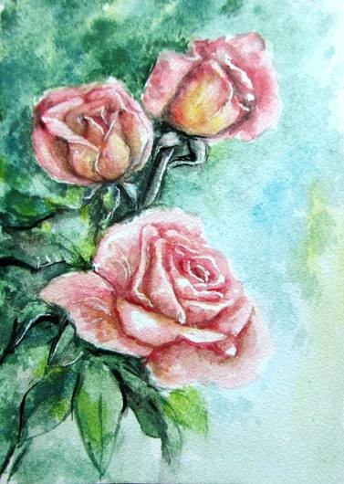 Pink Roses watercolor aceo painting