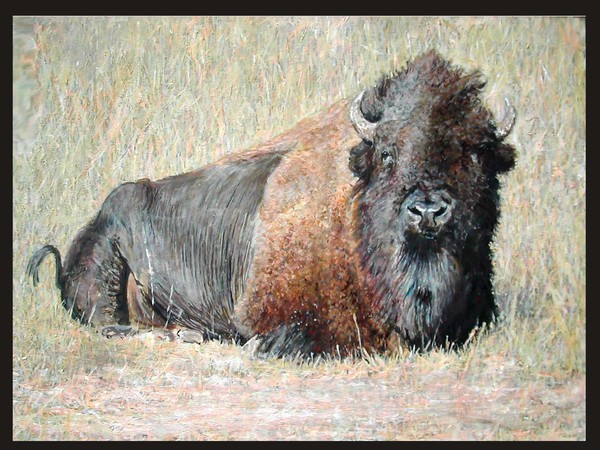 TATANKA...
