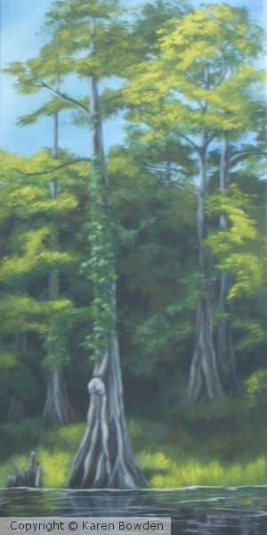 An Ocala National Forest Giant $100