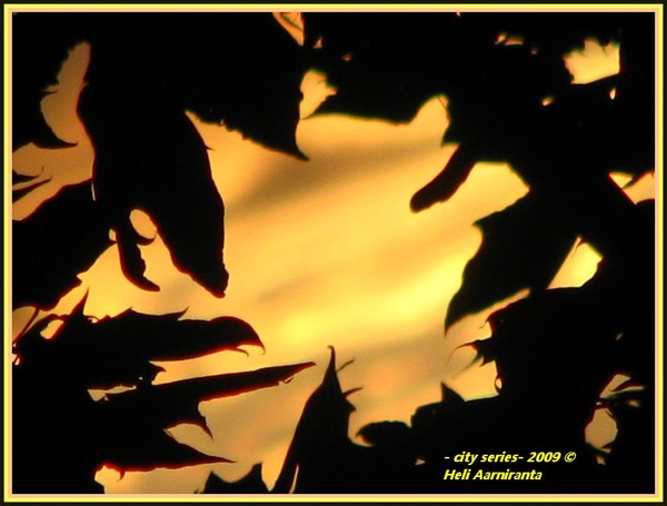 silhouettes-of sunsets.city series