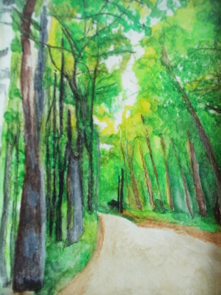 door county hiking trail