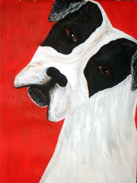 Molly Dog
