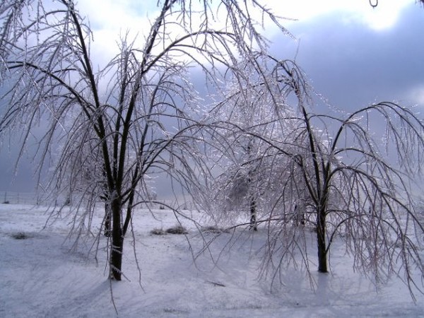 ICE STORM