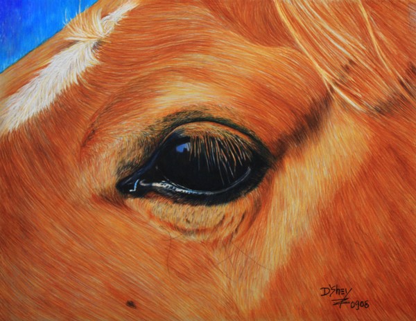 Horse Close-Up