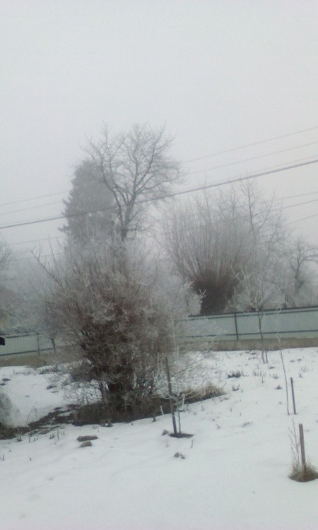 From my courtyard