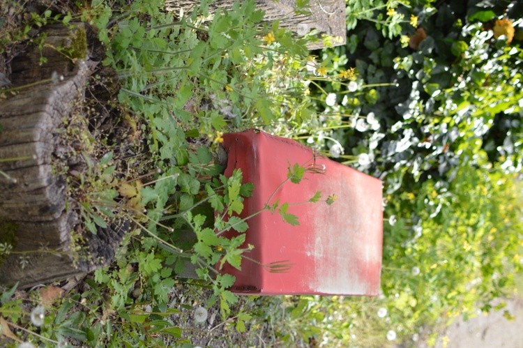DSC 0121