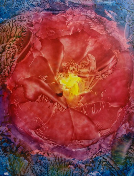cactusflower