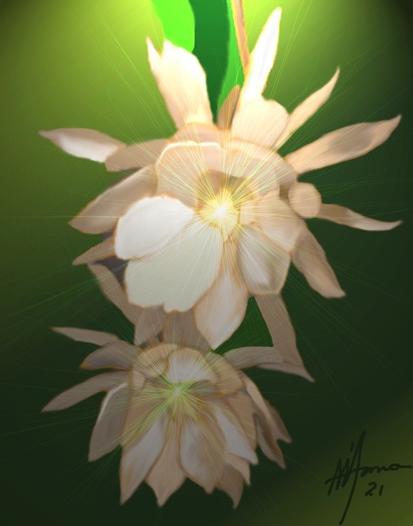 QUEEN OF THE NIGHT