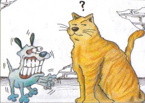 dog, cat and mousse 3
