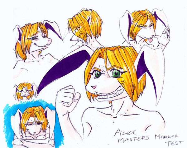 Alice Masters marker test