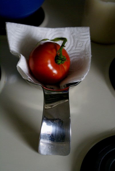 Tomato Red