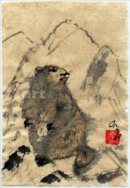 Hoary Marmot