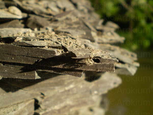 Slate Edge