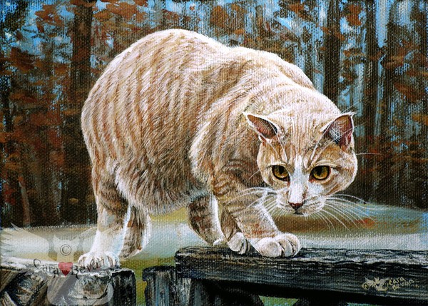Louie on the Hunt
