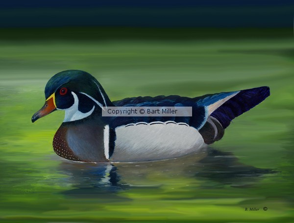 Still Waters