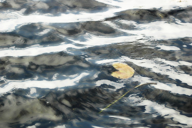 Adrift
