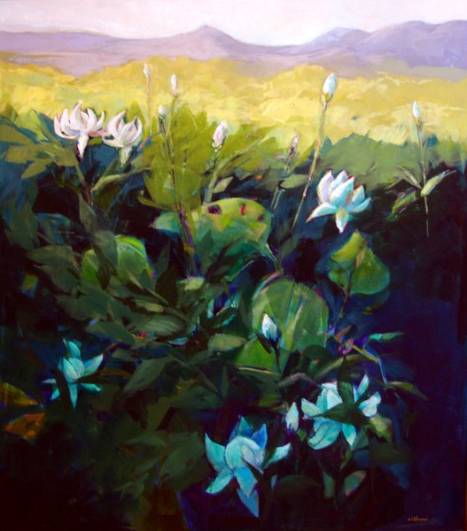 Morning Lillies