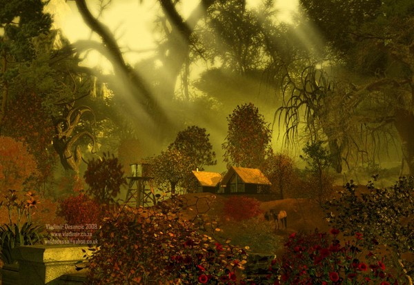 Forest Farm