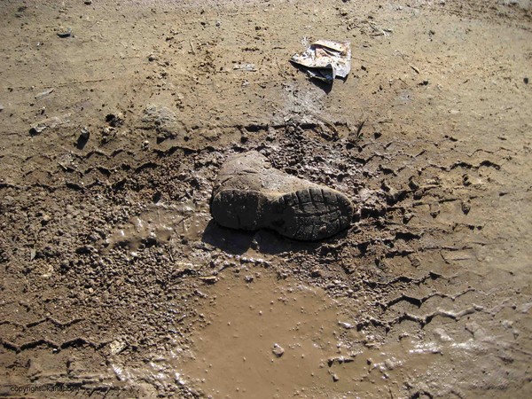 A shoe in the mud