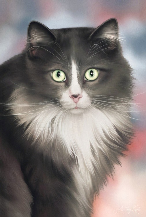 Bibi