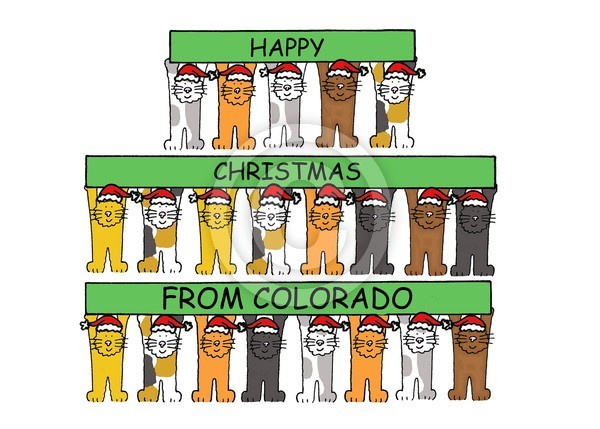 Happy Christmas from Colorado Cats