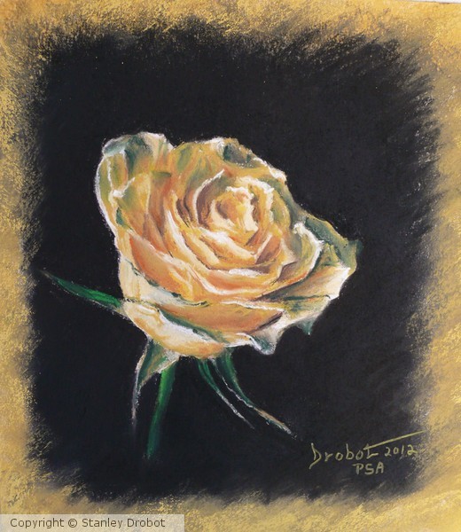 Yellow Rose