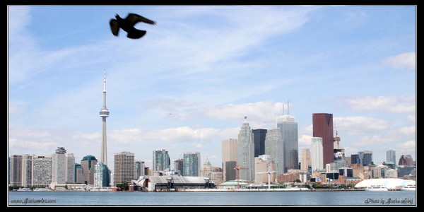 TORONTO 0012